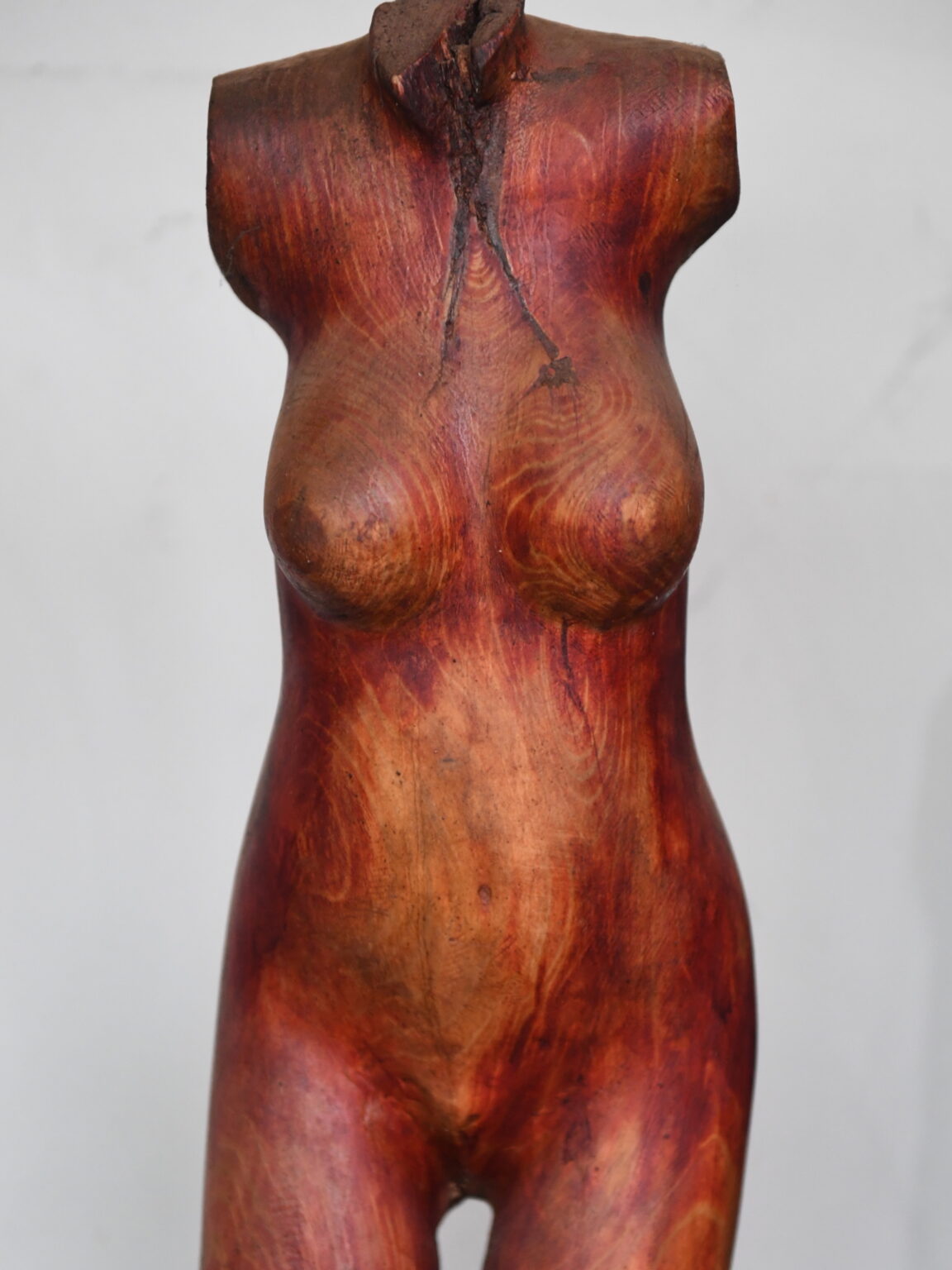 DSC_2134